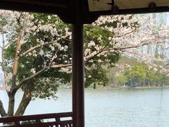 -苏堤停车场