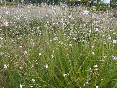 -仙海旅游度假区