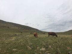 -石条山