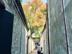 -天一阁博物院