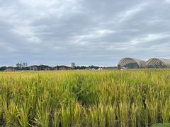 -中国天府农业博览园