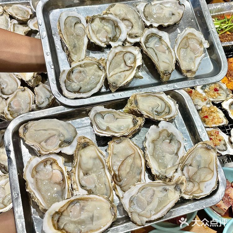 成都98r！实现生蚝🦪自由谁吃了 不说爽！