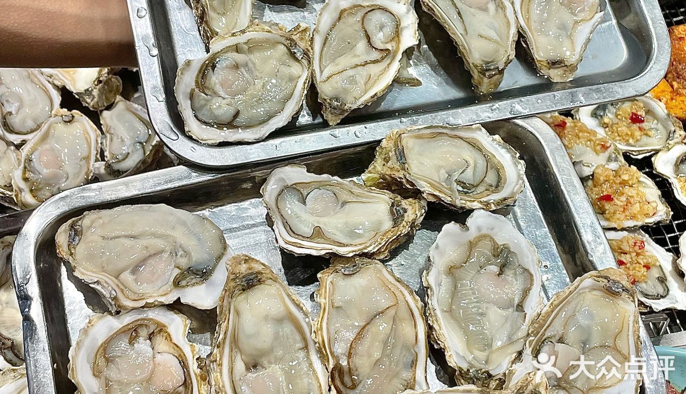 成都98r！实现生蚝🦪自由谁吃了 不说爽！