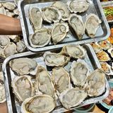 成都98r！实现生蚝🦪自由谁吃了 不说爽！