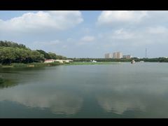 -大兴滨河森林公园