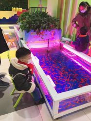 -宝燕乐园(闵行旗舰店)