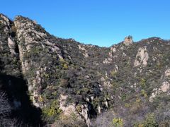 -大岭沟猕猴桃谷风景区