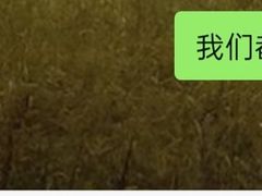 -徐鼎盛民间菜(南坪后堡店)