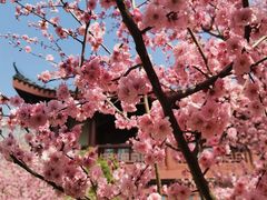 -堤角公园