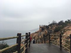 -广东惠东海龟国家级自然保护区