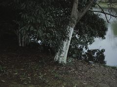-天鹅湖体育公园