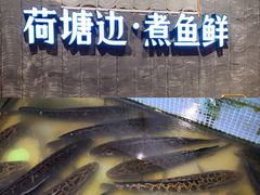 -湘芙蓉·湖南菜(椒江店)