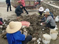 -浪琴湾尾角仔海鲜坊