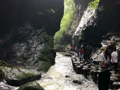 -牛背梁国家森林公园