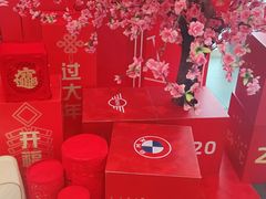 -南充通源宝马4S店(高坪店)