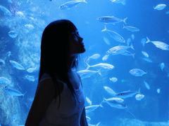 -太平洋海底世界