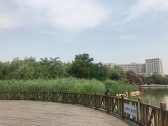 -国家动漫园