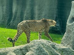 -北京野生动物园