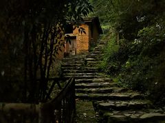 -杨家堂村