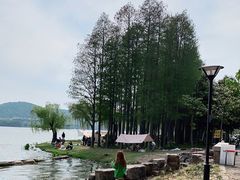 -无锡蠡湖国家湿地公园-蠡园