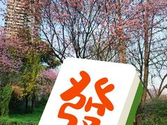 -重庆彩云湖湿地公园