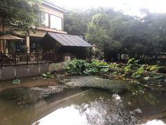 -天怡·鱼工厂(梅溪湖店)