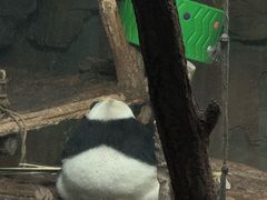 -青藏高原野生动物园