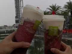 -奈雪的茶(大梅沙8号仓店)