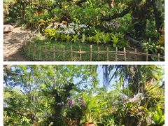 -中国科学院西双版纳热带植物园