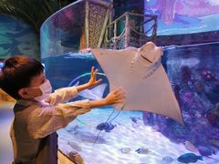 -沈阳海洋探索中心