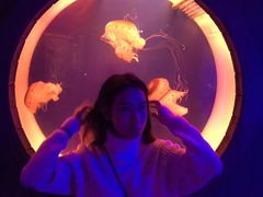 -南昌海洋公园