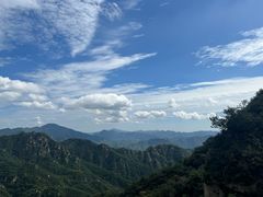 -大岭沟猕猴桃谷风景区