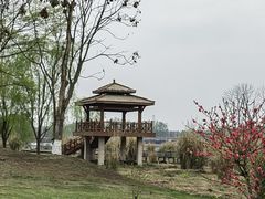 -中国天府农业博览园