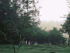 -百里天路
