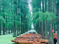 -渌洋湖湿地公园