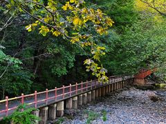 -关门山森林公园
