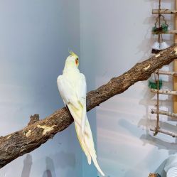 -Zoolung Zoolung动物主题公园(海信广场店)