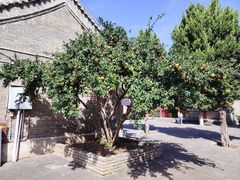 -洛阳周公庙博物馆