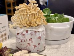 -烹然四季椰子鸡火锅(团结湖总店)