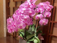 -扬州香格里拉·香宫中餐厅