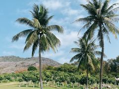 -三亚南山文化旅游区