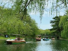 -上海共青森林公园