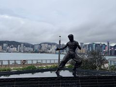 -星光大道