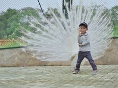 -鄱阳湖国家湿地公园