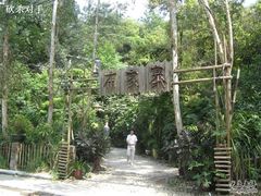 -火炉山森林公园
