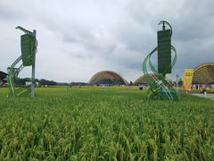 -中国天府农业博览园