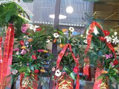 -付掌柜在成都·热炒砂锅集(金禾店)