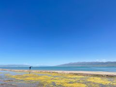 -青海湖国家重点风景名胜区