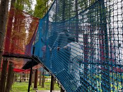 -黄海国家森林公园