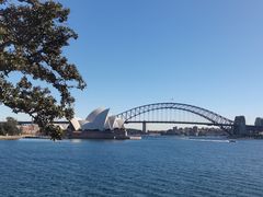 -麦考利夫人座椅